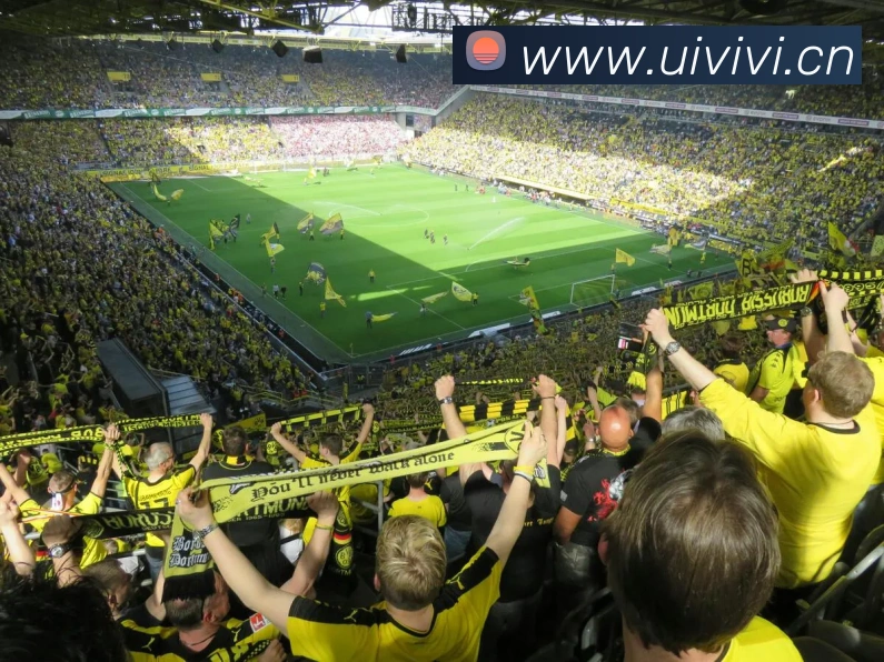 9游会j9官方平台平台生态图